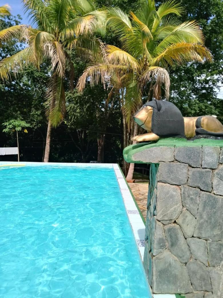 Pousada Vila Cintra Pirenópolis المظهر الخارجي الصورة